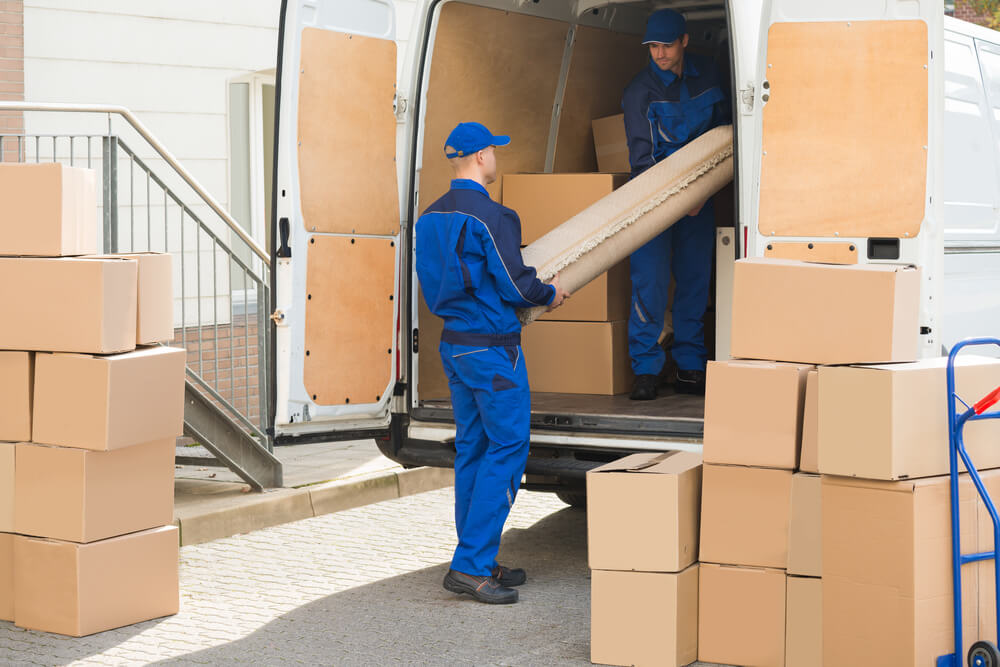 Boynton Beach Local Removals Near Me