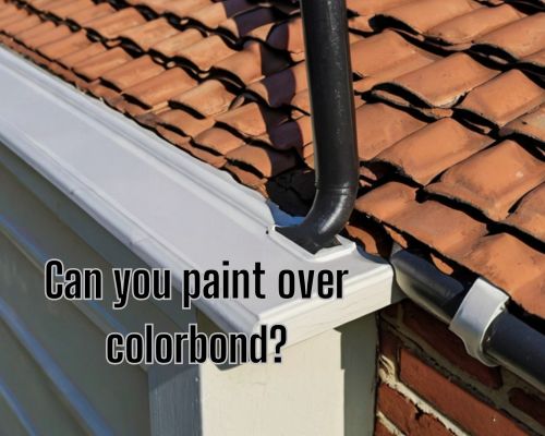 painted roof gutters