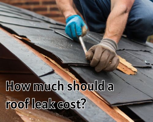 A worker on a ladder, repairing a leak in the roof