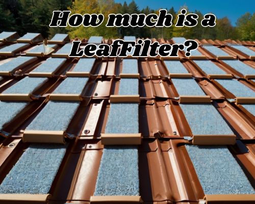 LeafFilter in a roof